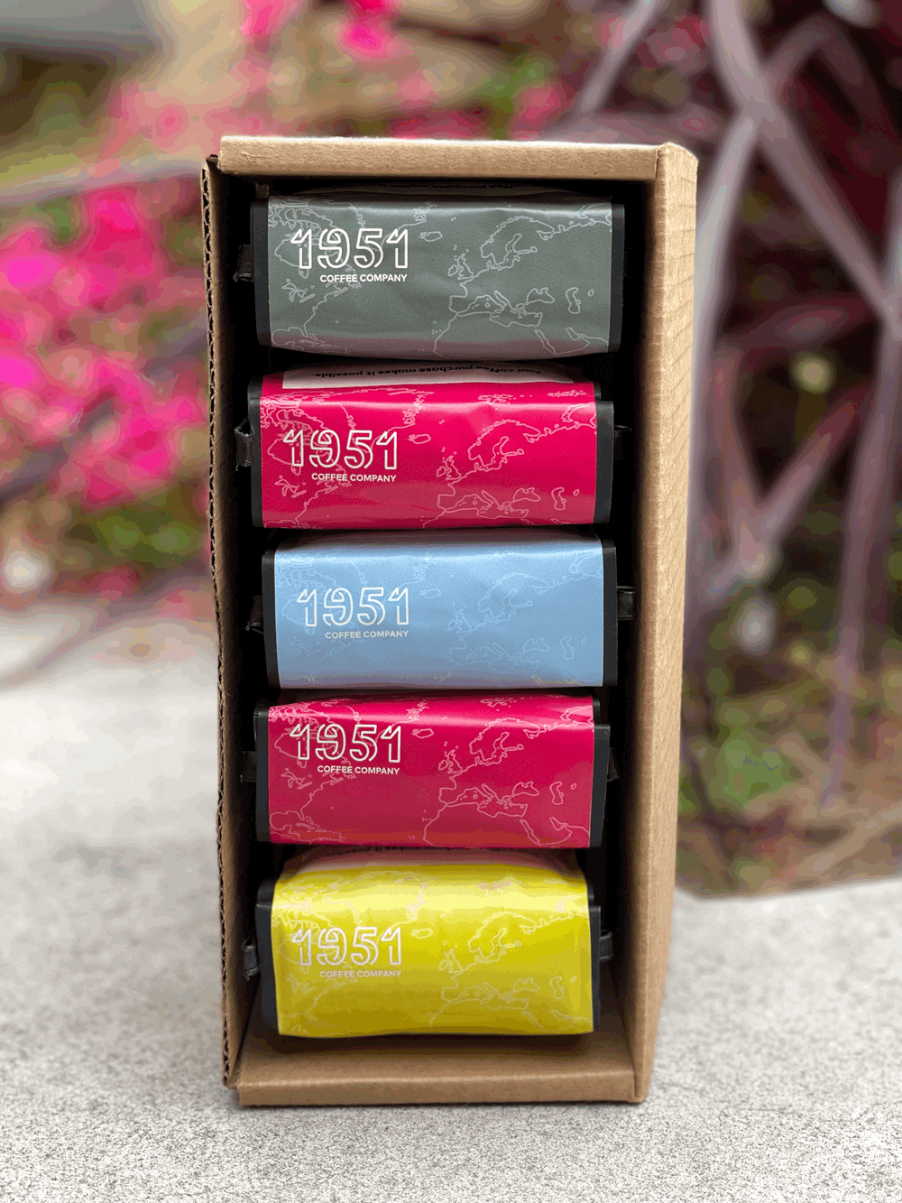 1951 Coffee Sample Box